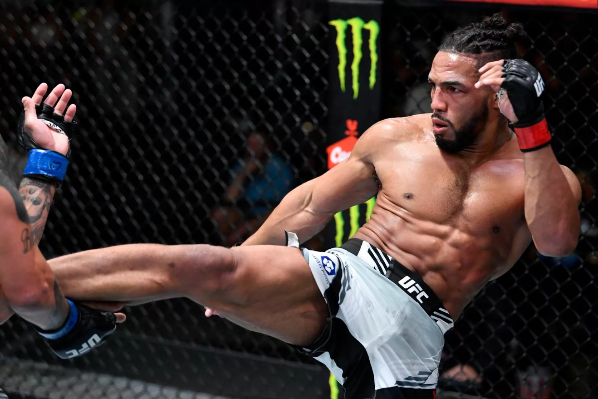 Do Combat Sports Returns Ever Pay Off?