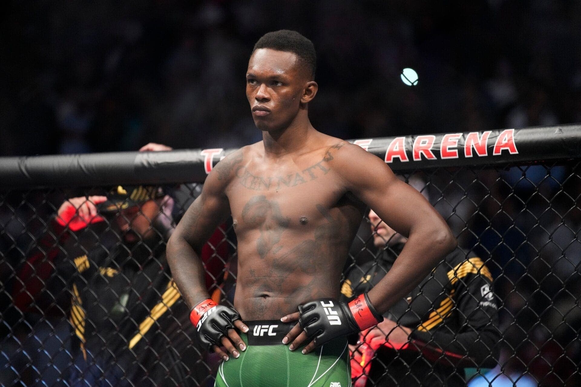 Adesanya Takes Indefinite Leave from MMA