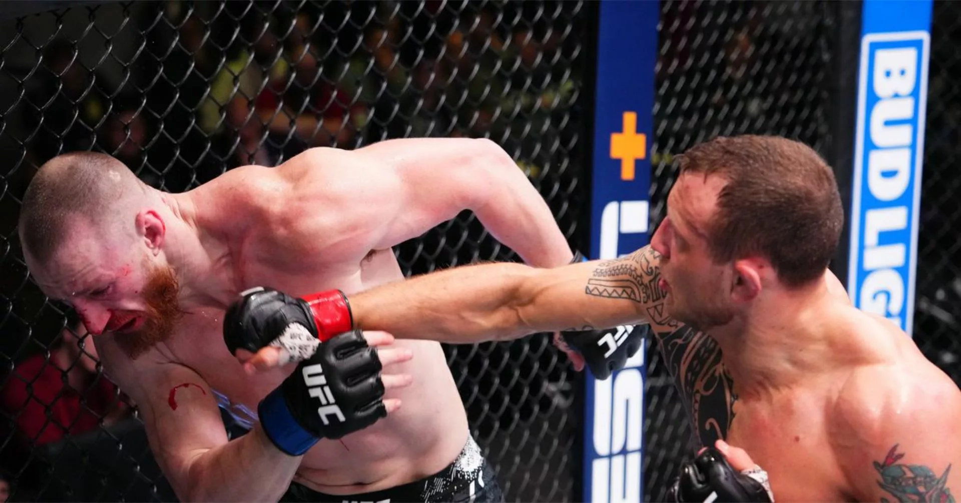 Hermansson Teaches Pyfer About Cost of Entry in Top 15
