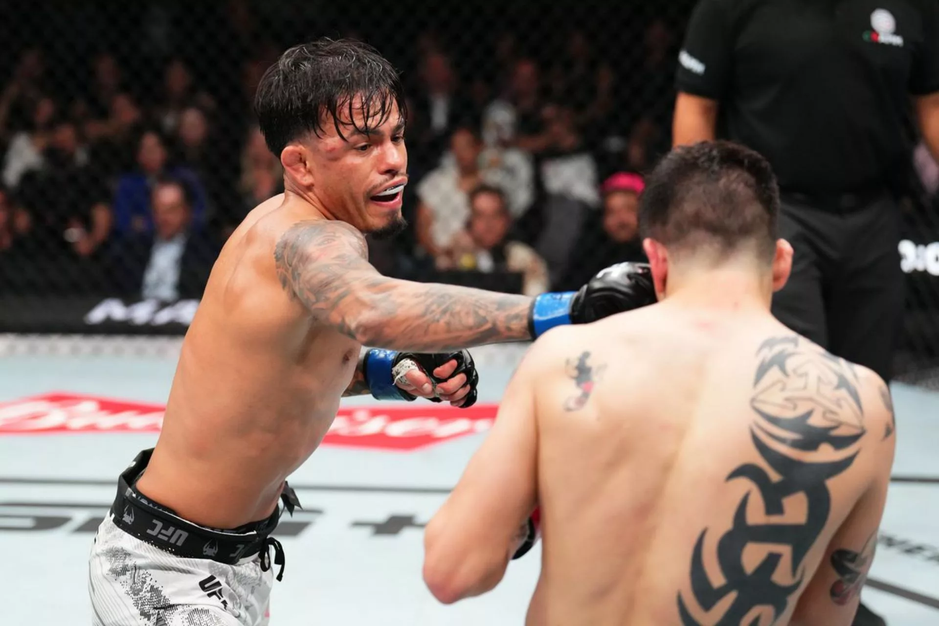 Royval Wins Moreno Re-Match; Ortega Earns Another Submission Victory