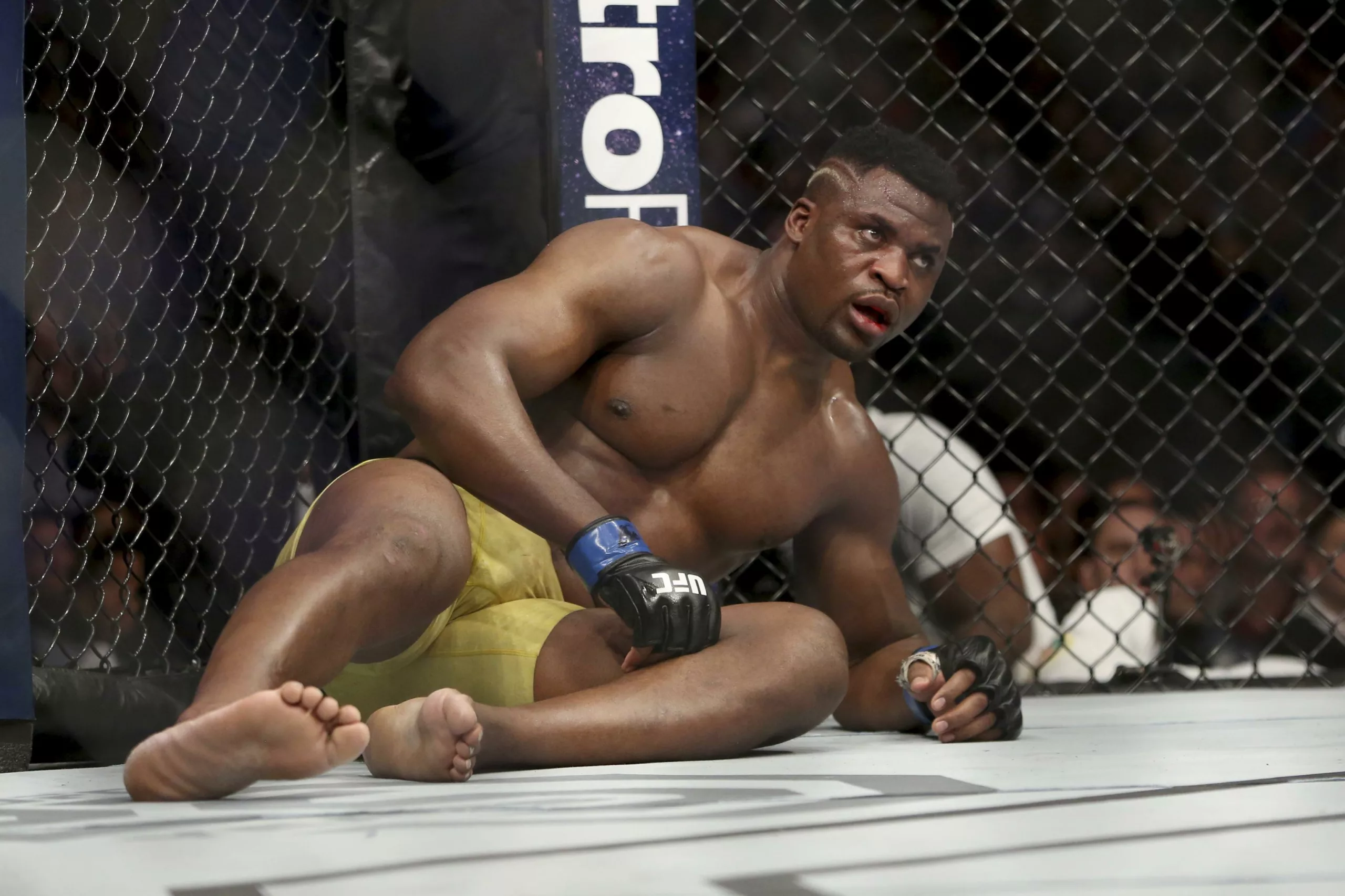 Jon Jones Backs Joshua To Beat Ngannou – ‘Sorry, Francis'