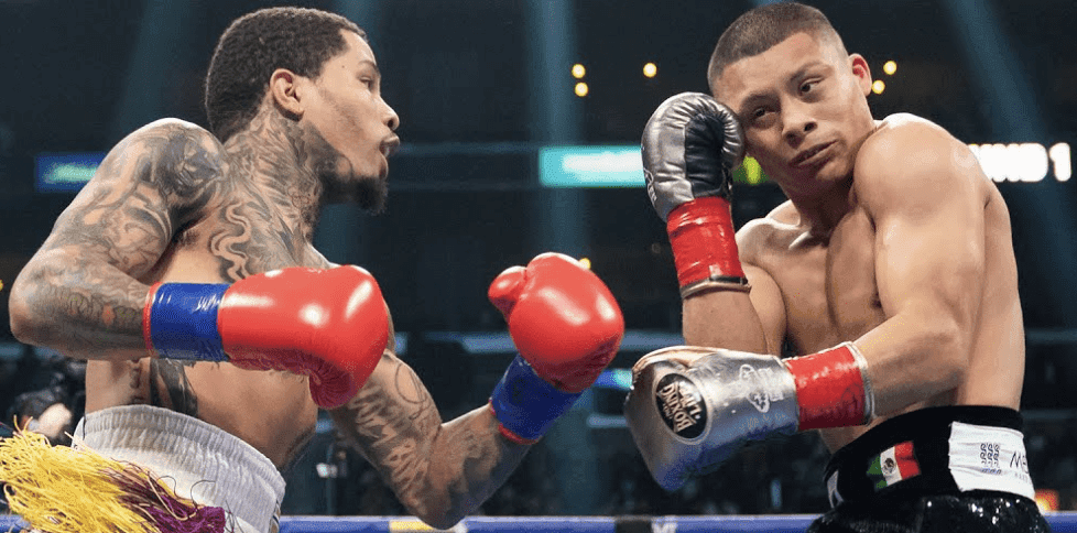 Davis vs. Cruz Rematch In The Works