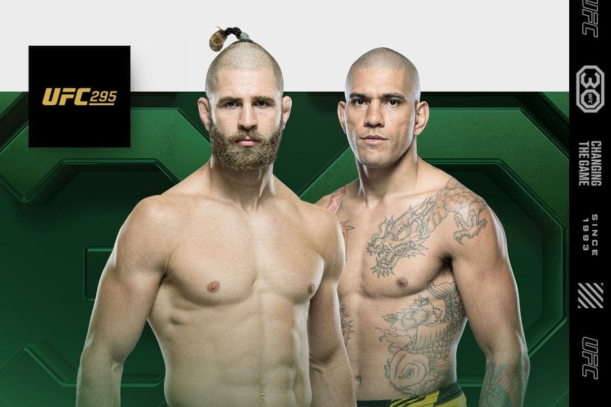 UFC 295: Light Heavyweight Division Circus; Hardworking Andrade