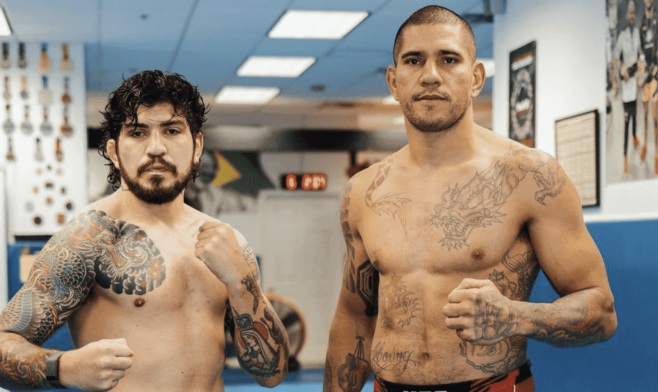 Alex Pereira Wants Dillon Danis To Join The UFC, Danis Targets A Fight With Paddy Pimblett