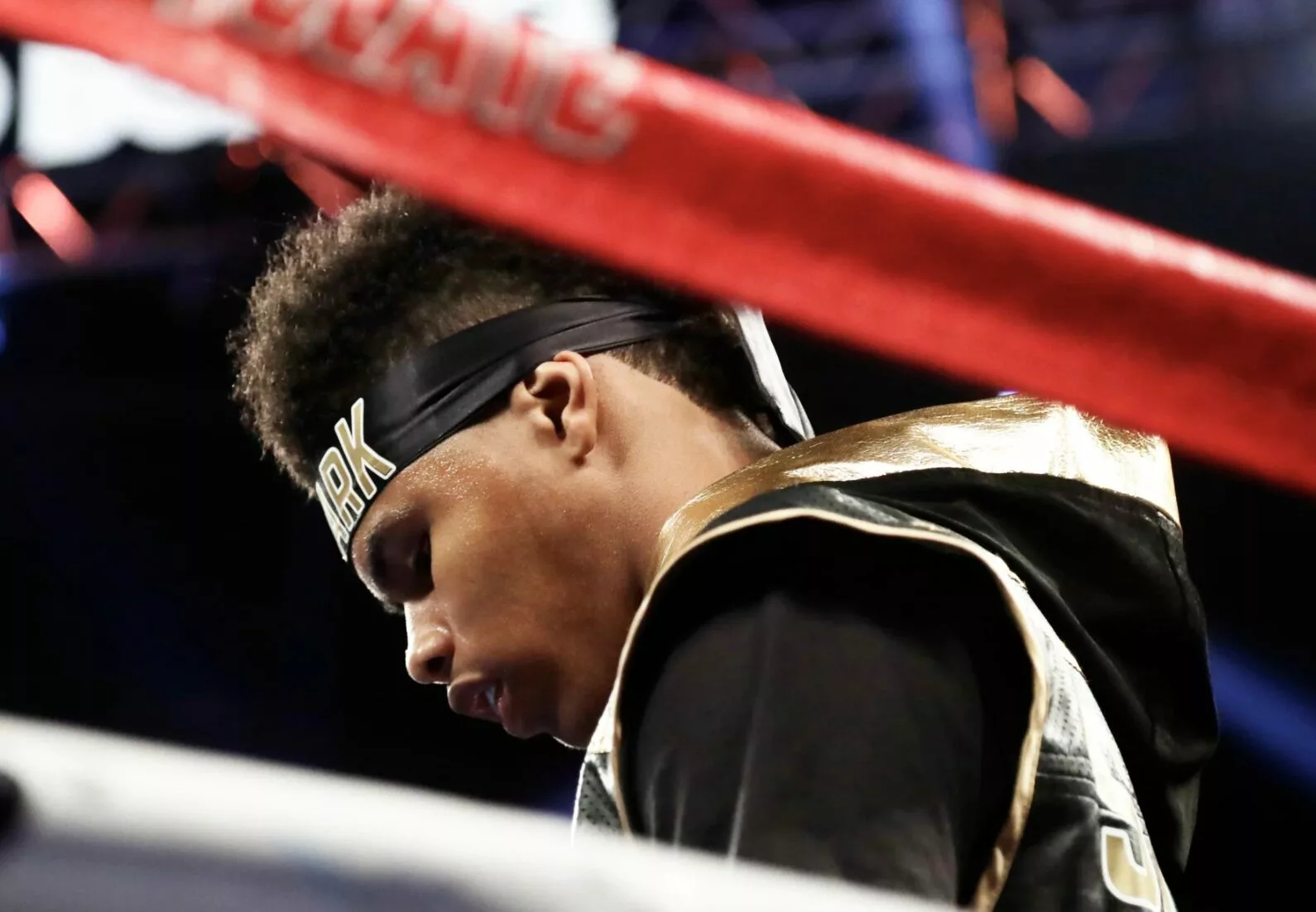 Arum Blames De La Hoya For Stevenson vs Zepeda Not Happening – ‘Sounds Like A Duck'