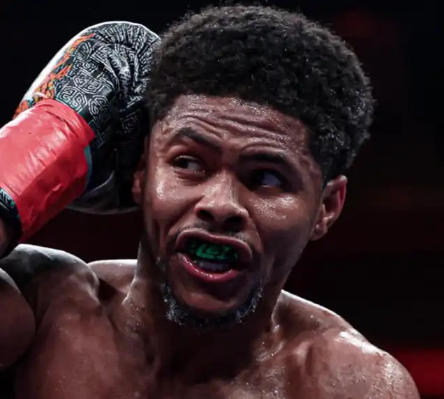 Stevenson Addresses Zuffa Boxing Rumors