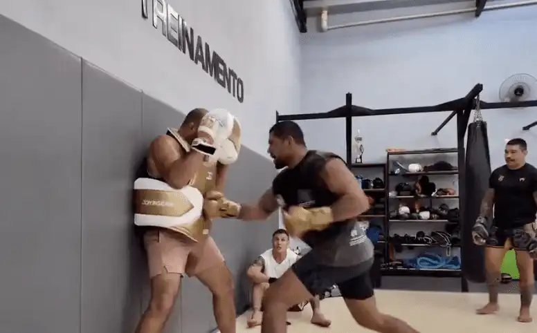 Alex Pereira's Scary Heavyweight Power