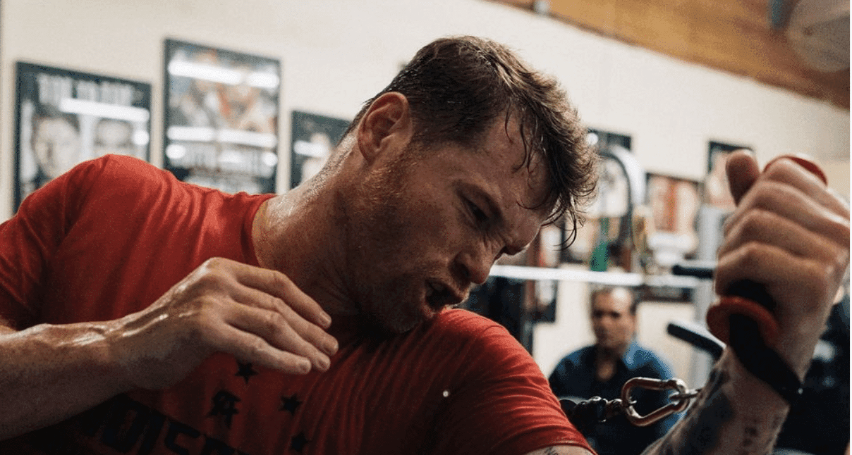 Who Will Canelo Alvarez Fight Next?