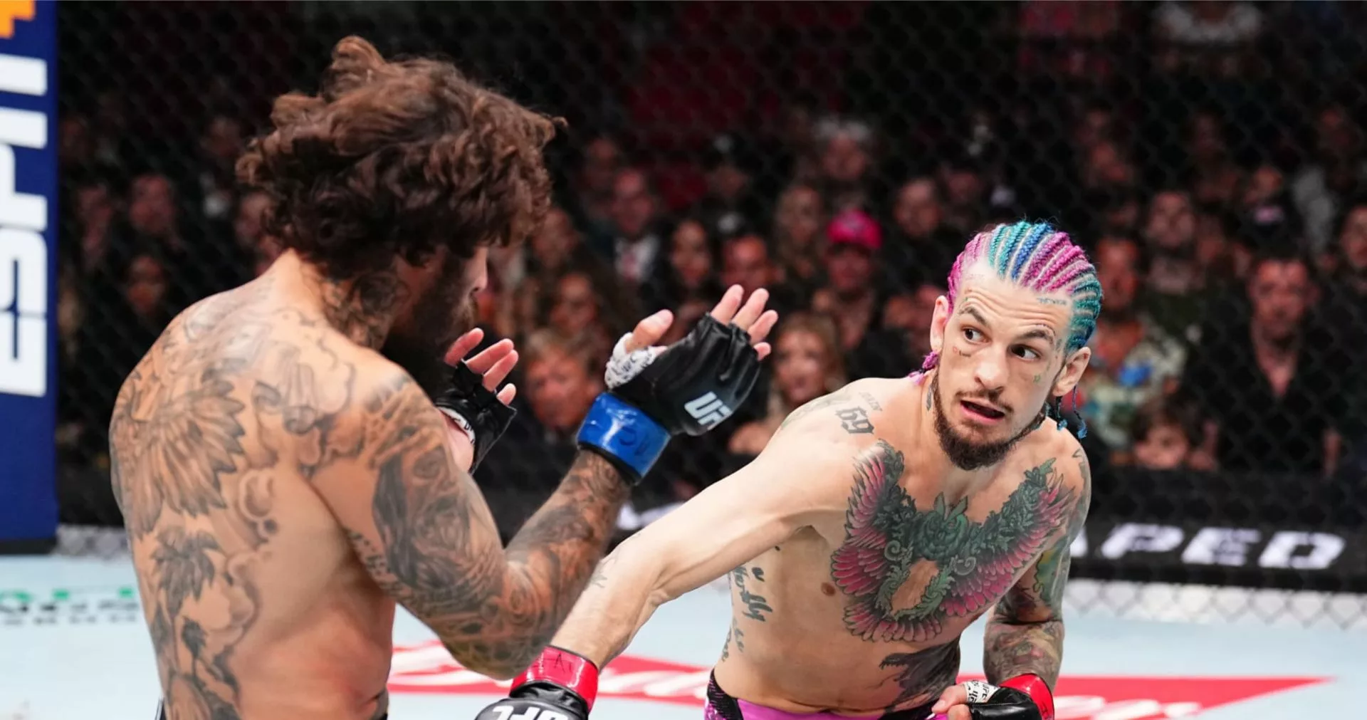 Sweet Redemption: “Sugar” Sean O’Malley Avenges Only Career Loss at UFC 299
