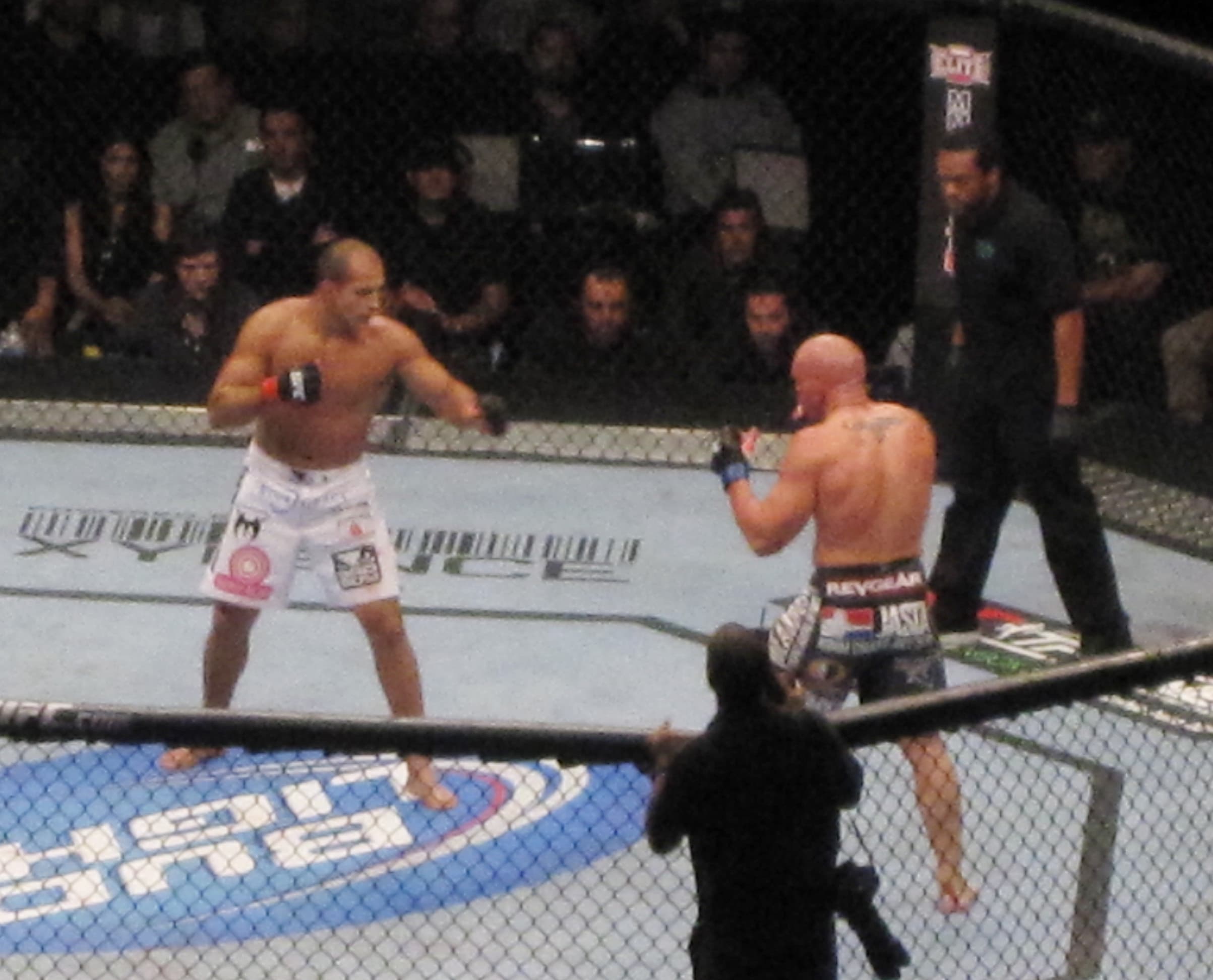 Mixed martial arts portrait