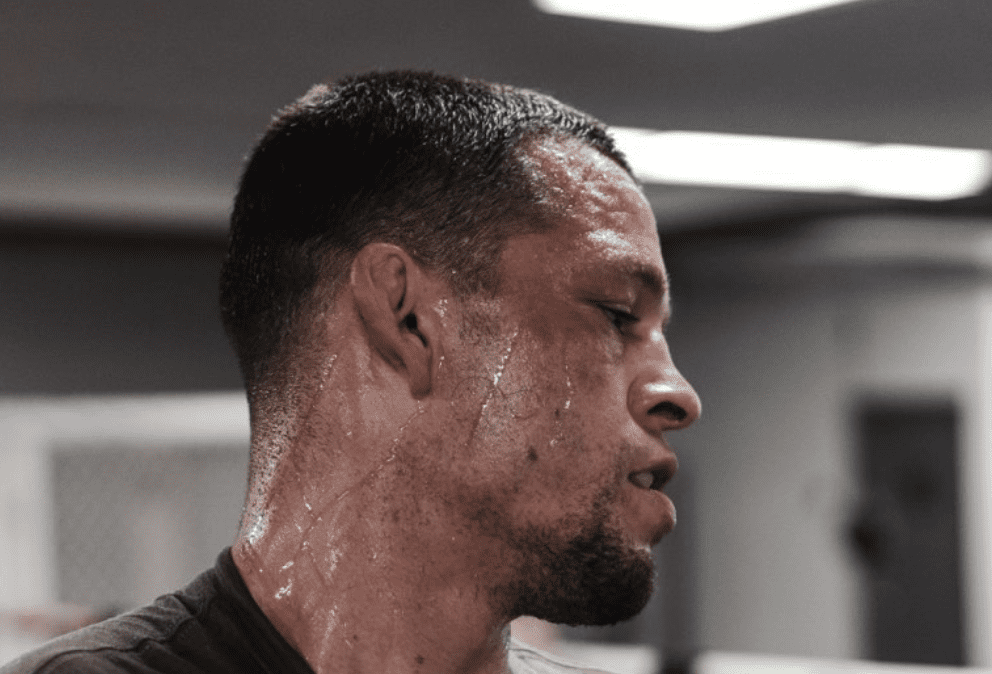 Nate Diaz Confirms Rematch With Jake Paul, Logan Paul Rules Out An MMA Fight With Danis