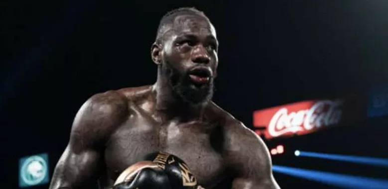 Wilder: Joshua Has Lost The Respect Of The Heavyweight Division