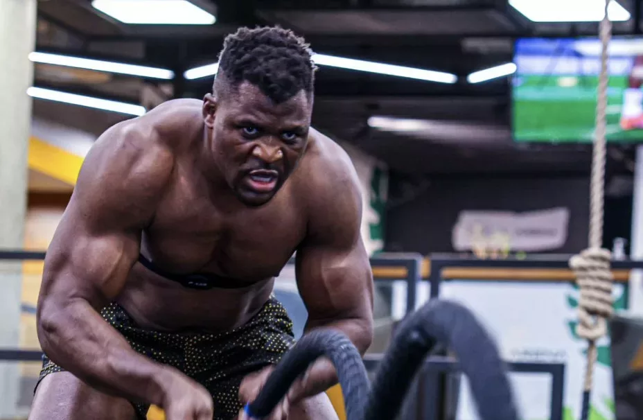 Francis Ngannou Will Fight In The PFL This Year