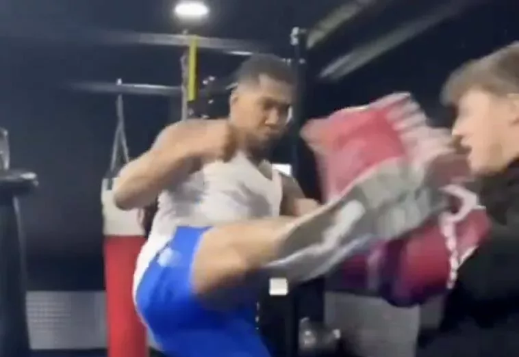 Joshua Shows Off Crazy MMA Kick, Ngannou Rematch? – ‘He Beats Francis In The Cage'