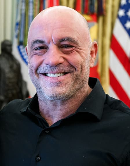 Joe Rogan portrait