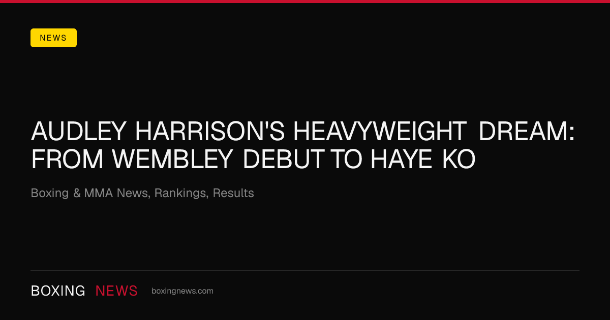 Audley Harrison's heavyweight dream: from Wembley debut to Haye KO