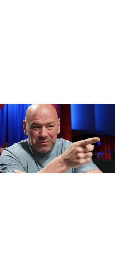 Dana White Teases A Massive UFC Fight - It's Not McGregor
