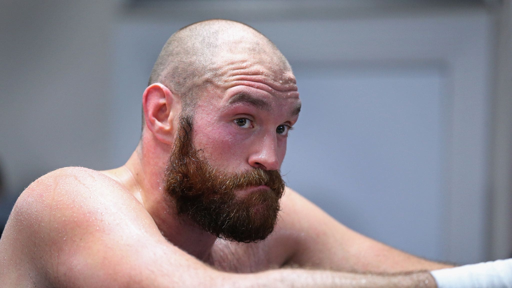 Fury Could Return - 'He Might Be Getting Bored'