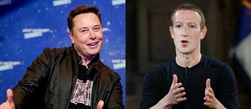 Musk Will Fight Zuckerberg Outside Of The UFC - Boxing News