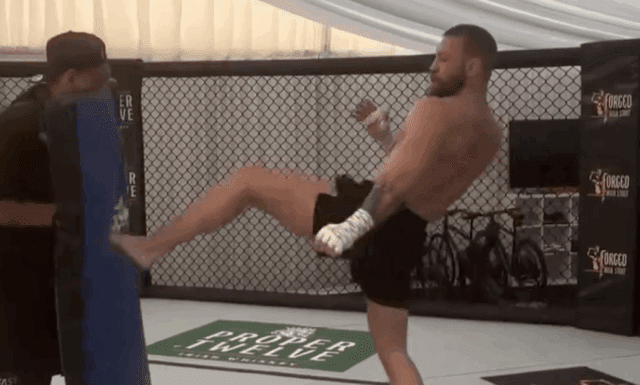 Fans Unimpressed With McGregor's Training Footage