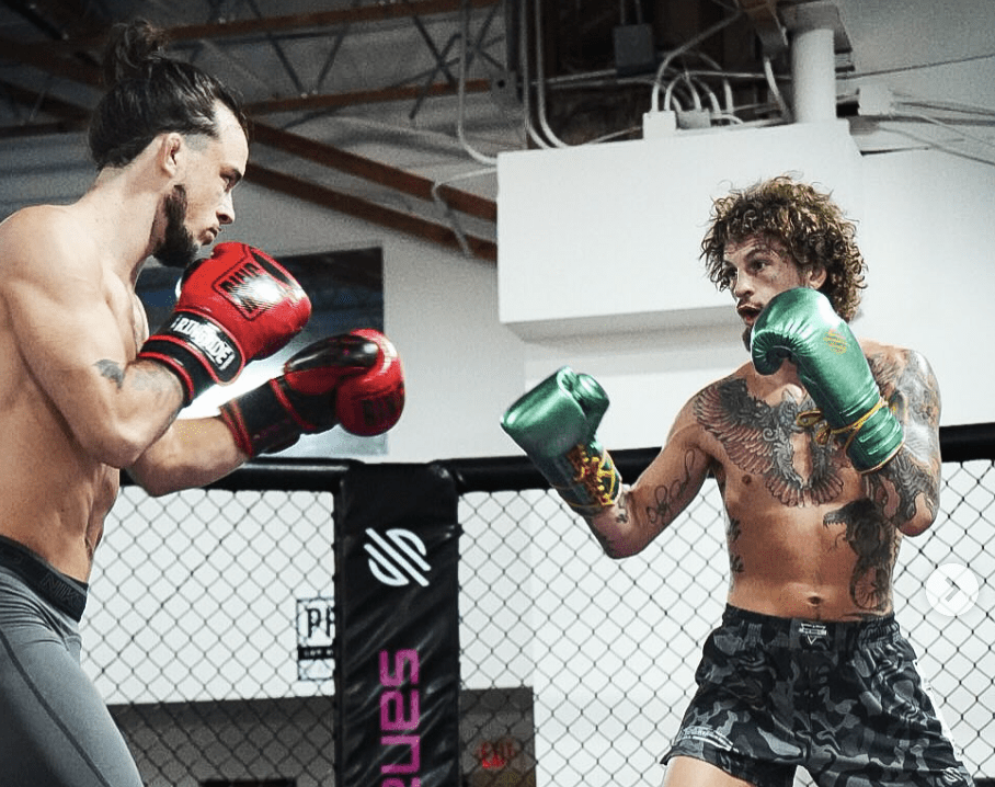 O'Malley Admits Trying To Emulate McGregor - 'I Got Lost'