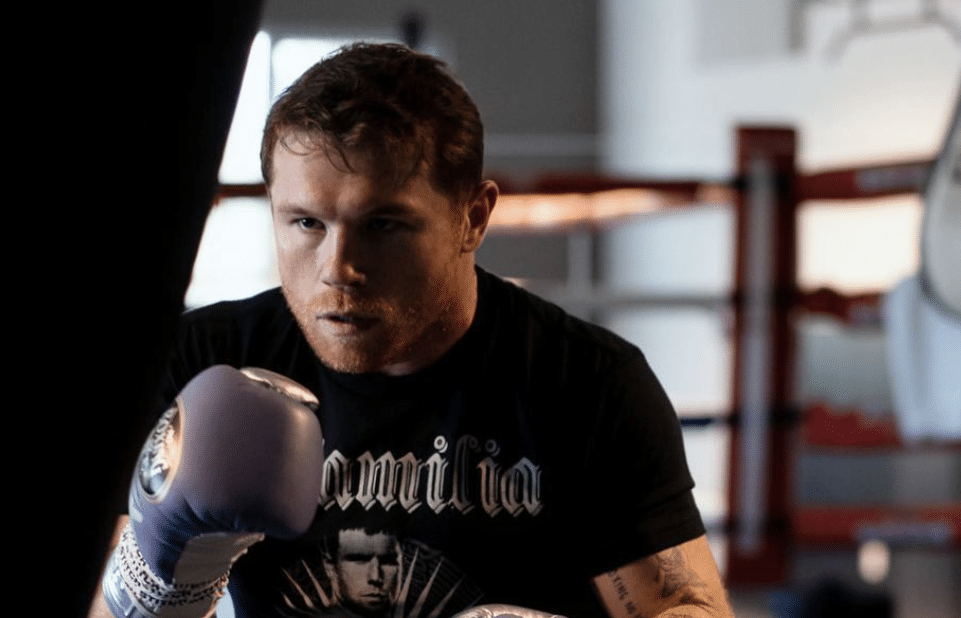 Vergil Hunter Questions Canelo’s Desire, Crawford’s Camp Slams Alvarez ...